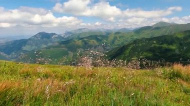 Karpat Dağları 'nda güzel bir gün. Doğa, güneşli yaz aylarında yeşil çayırlarda çimenler parıldıyor. Turizm arka planda, Dolly vuruldu. 