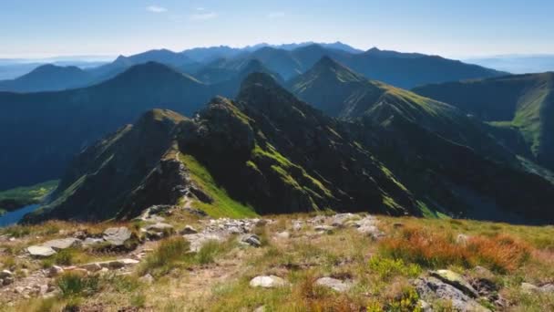夏日的早晨 美丽的绿色阿尔卑斯山小径在阳光明媚的大自然中 旅游背景 倾斜露天拍摄 — 图库视频影像