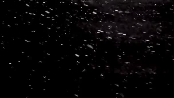 在黑色背景的强风冬季风暴中 雪下得很大 寒冷的天气简单的混合层 如屏幕 照明或添加 — 图库视频影像