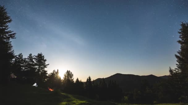 野生の森の自然を背景に 天の川銀河の空が月明かりで照らされている美しい星空の下でキャンプファイヤーの上に座っている友人タイムラプス天文学の夜から日へ 夏の日の出前の夜明け — ストック動画