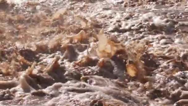 Медленное Движение Мутной Реки Коричневыми Водными Порогами Плескающимися Затопленной Реке — стоковое видео