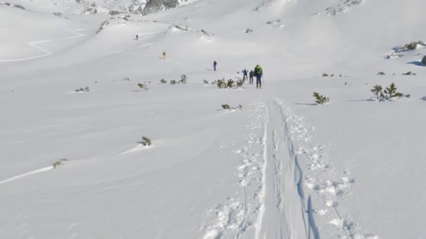 Ski Touring Ομάδα Χιονισμένες Άλπεις Χειμώνα Βουνό Στην Πίσω Φύση — Αρχείο Βίντεο