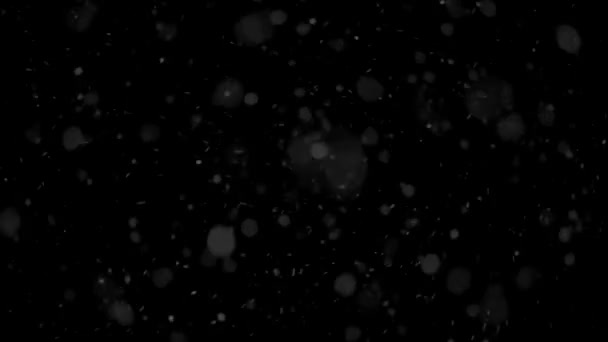 Θολή Χιόνι Χιονίζει Προς Την Κάμερα Μαύρο Φόντο Χιόνι Πέφτει — Αρχείο Βίντεο