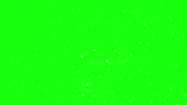 Χιονίζει Πράσινο Φόντο Οθόνη Πραγματικό Χιόνι Πέφτει Κρύο Χειμώνα Φύση — Αρχείο Βίντεο