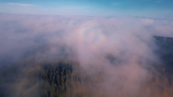 Flygfoto Över Vackra Moln Himmel Över Skog Natur Med Regnbåge — Stockvideo