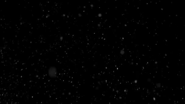 Snow Havazik Gyönyörű Téli Karácsonyi Háttér Lassított Felvétel Könnyű Keverék — Stock videók