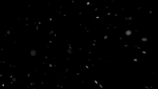 Neve Está Nevando Direção Câmera Fundo Preto Estação Tempestade Neve — Vídeo de Stock