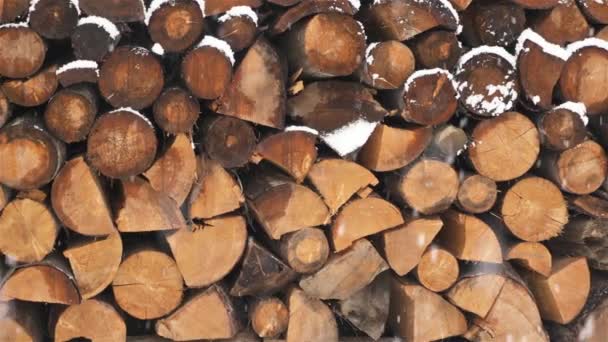 Pile Firewood Prepared Winter Heat Season Countryside Background Snow Snowing — Stock Video