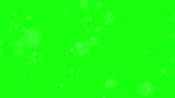 Está Nevando Fondo Pantalla Verde Alta Calidad Fácil Mezcla Superposición — Vídeo de stock