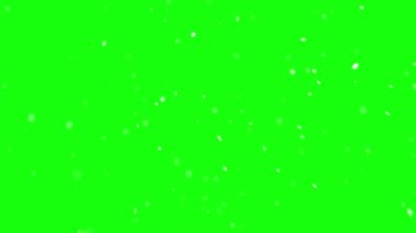 Yeşil ekran arka planda kar yağar, Noel zamanı soğuk kış mevsiminde gerçek kar yavaş yağar. Ekran olarak kolay karıştır, hafiflet veya yeni katman ekle 