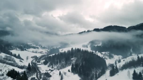 Luchtfoto Van Mistig Platteland Met Grijze Mistige Wolken Het Bos — Stockvideo