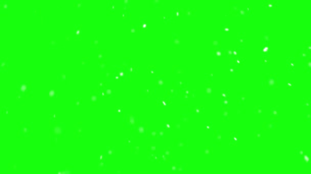 緑の画面を背景に雪が降り クリスマスの寒い冬の季節には本物の雪がゆっくりと動きます 画面として簡単にブレンド 光または新しい層を追加します — ストック動画
