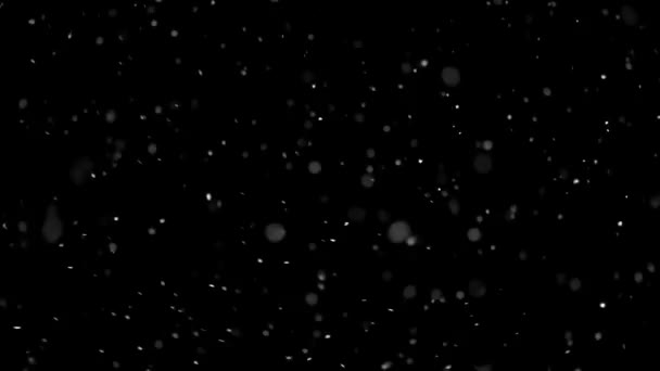 在黑色的背景下下雪 在寒冷的冬季的圣诞季节下着真正的雪 易于混合 如屏幕 减轻或添加新的层 — 图库视频影像