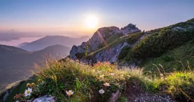 Alp dağlarında günbatımının güzel renkleri doğanın beyaz çiçekleri ile birlikte büyülü yaz akşamı manzarası. Zaman aşımı, Panoramik görünüm, Pan 