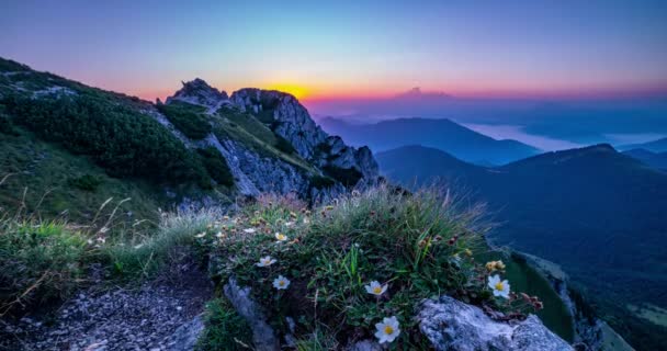 Prachtige Kleuren Van Zonsopgang Rotsachtige Alpen Bergen Piek Met Witte — Stockvideo