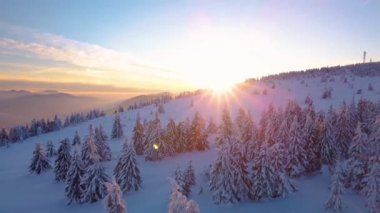 Donmuş kış ormanı dağlarında, sabah vakti çok kar yağan, renkli gündoğumu manzarası. Karlı ağaçların üzerinde geri geri uç 