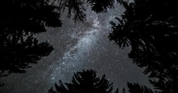 天の川銀河の光の魔法の美しさ暗い森の自然界では 宇宙に目を向ける 天文時間の経過 Dci タイムラプス ボトムアップビュー 回転パノラマ — ストック動画