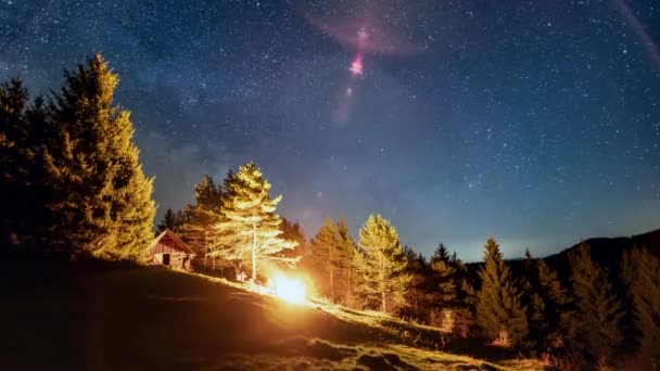 Magic Stars Sky Milky Way Galaxy Motion Wild Forest Nature — Stock Video