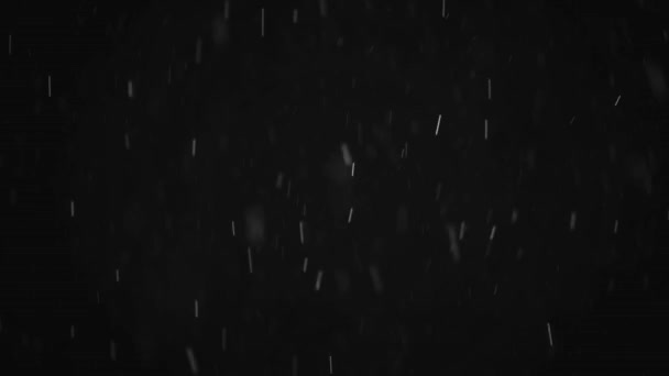 Πραγματικό Χιόνι Που Πέφτει Χιονίζει Χειμώνα Μαύρο Φόντο Στη Μέση — Αρχείο Βίντεο