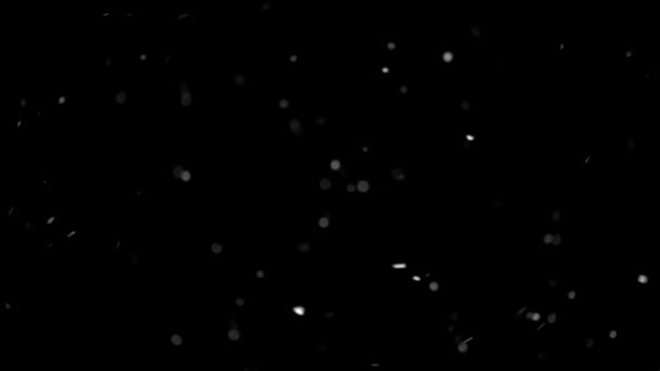 Langzame Beweging Van Witte Sneeuwvlokken Vliegen Wind Echte Sneeuw Sneeuwt — Stockvideo