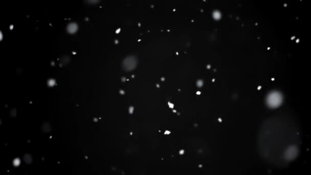 Real Snow Snowing Black Background Winter Christmas Season Slow Motion — Stock Video