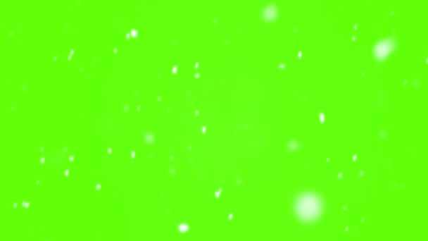 Nieve Real Está Nevando Sobre Fondo Verde Pantalla Verde Invierno — Vídeo de stock