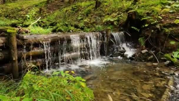 Ormandaki Küçük Şelalenin Berrak Suyunun Yeşil Doğadaki Ahşap Taşkın Önleyici — Stok video