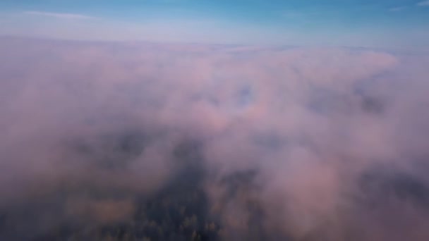 秋の青空の下 カラフルな低雲の上に壮大な朝のフライト自然景観天国からの空中ビュー — ストック動画