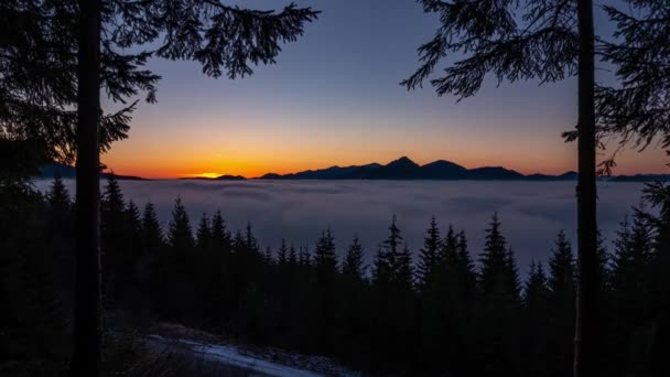 Răsărit Colorat Natura Pădurii Nori Cețoși Mișcă Rapid Valea Munților — Videoclip de stoc