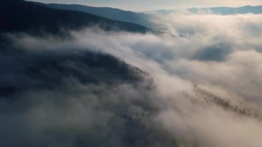 Gizemli bulutlar sisli sabah manzarasının üzerinde huzurlu bir uçuşla güzel orman doğasında hızlı hareket eder. Hava görüntüsü 4K İHA görüntüleri 