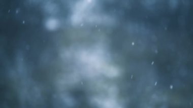 Kışın kar yağarken yavaş çekim ön plana odaklanıyor. 