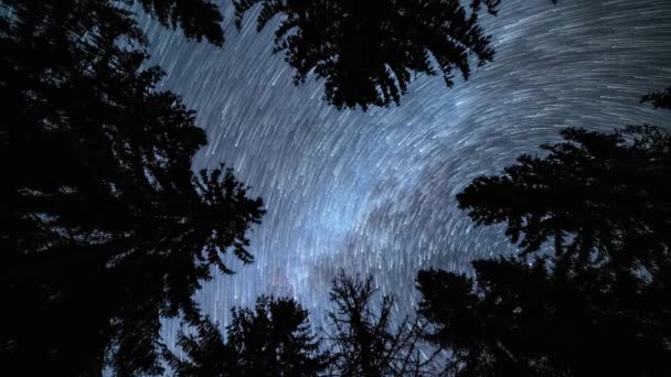 Varázslatos Nyomvonalai Csillagok Tejszerű Galaxis Mozgás Gyors Fordul Sötét Erdő — Stock videók