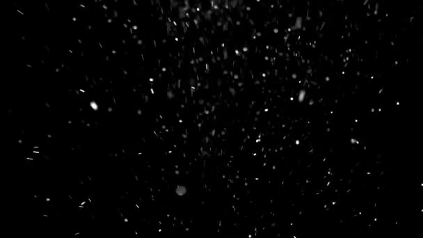 Echte Sneeuw Sneeuwt Het Koude Winterseizoen Sneeuwvlokken Vallen Bewegen Wind — Stockvideo