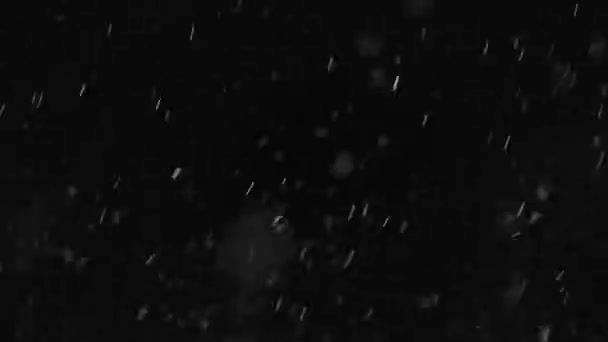 寒い冬には大雪で雪が降っています 本物の雪の結晶が落下し 暗い黒の背景に風に速く移動します 画面として簡単にブレンド 軽量化 — ストック動画