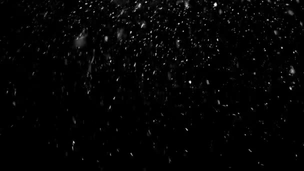 Настоящий Снег Черном Фоне Накладывать Слой Экрана Смешивания Добавлять Облегчать — стоковое видео