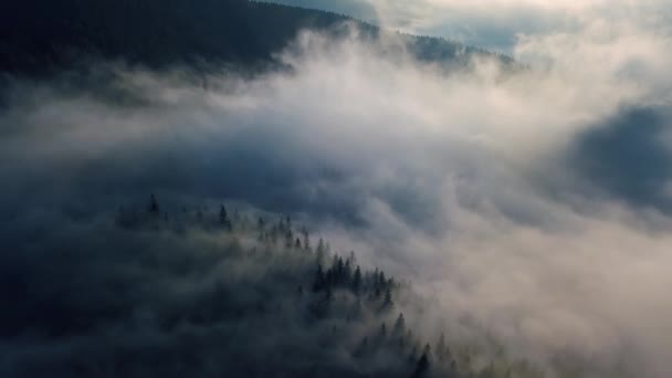 Прекрасный Утренний Полет Над Туманной Лесной Природой Туманными Облаками Быстро — стоковое видео
