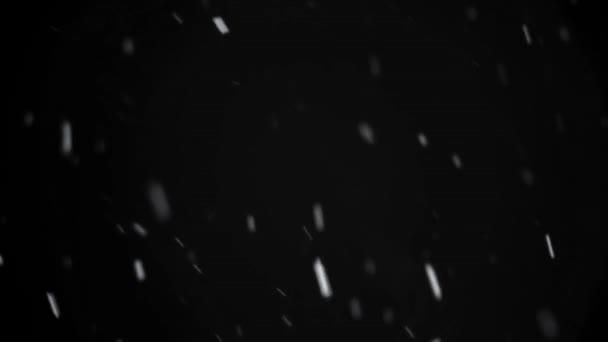Real Snow Está Nevando Tela Preta Fundo Estação Fria Inverno — Vídeo de Stock