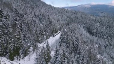 Kış ormanlarındaki korumasız dağ geçidindeki boş karlı yolun havadan görünüşü. Kuzey manzarası arka planında vahşi doğa.