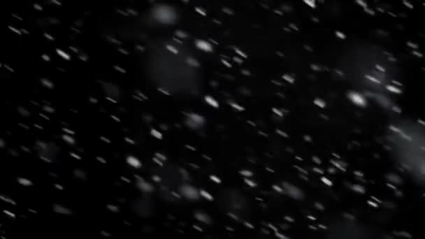 Het Sneeuwt Zwaar Tegen Een Zwarte Achtergrond Witte Sneeuwvlokken Bewegen — Stockvideo