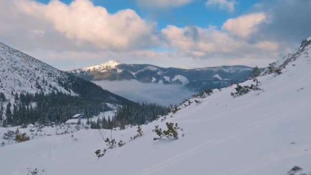 Panorama Gór Zimowych Ośrodkiem Narciarskim Śnieżnym Sezonie Przyrodniczym — Wideo stockowe