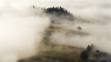 Güneşli sonbahar sabahında kırsal kesimi kaplayan sisli bulutlar dalgası Doğa Zamanı azalıyor 
