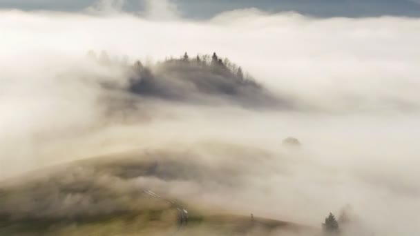Magische Mistige Ochtend Wolken Bewegen Bos Weiland Land Zonnige Herfst — Stockvideo