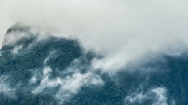 Bosque Místico Con Nubes Blancas Que Mueven Sobre Árboles Verdes — Vídeo de stock