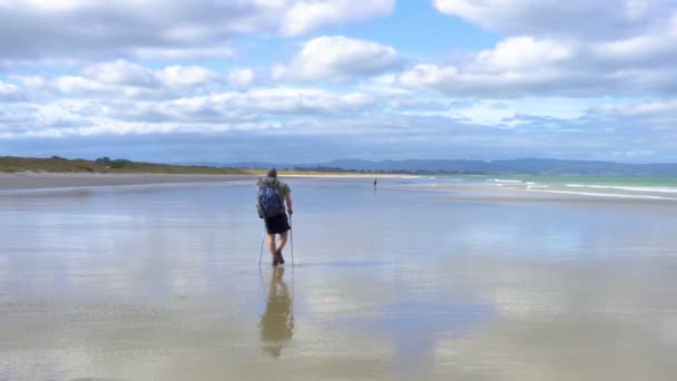 Män Vandring Mil Strand Nya Zeelands Havskust Landskap Solig Sommar — Stockvideo