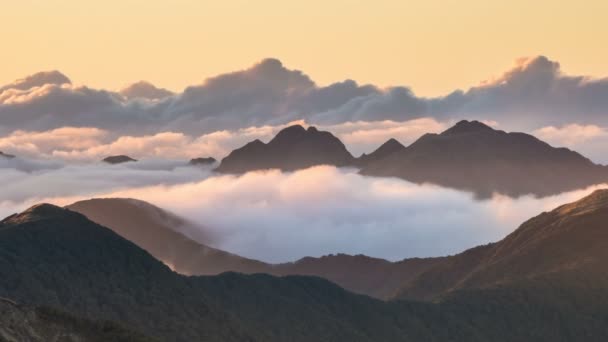 Епічні Туманні Хмари Рухаються Над Альпійськими Горами Мирний Вечір Лісовому — стокове відео