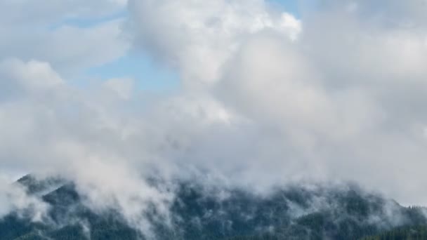 Misztikus Felhők Gyorsan Halad Alpesi Erdők Hegyek Napsütéses Reggel Eső — Stock videók
