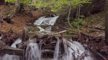 Dağların üzerinden uçmak berrak su ile tatlı bahar ormanlarındaki şelaleleri sular. Güzel doğa manzarası. 
