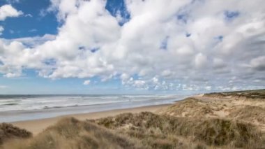 Beyaz bulutlar, güneşli yaz mevsiminde Yeni Zelanda 'nın okyanus sahillerindeki çimenli kıyı şeridinde hızla ilerliyorlar. Zaman aşımı, Dolly atışı, Pan. 