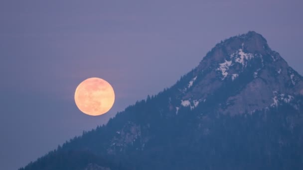 Wielka Złota Pełnia Księżyca Wznosząca Się Nad Szczytem Gór Alpejskich — Wideo stockowe