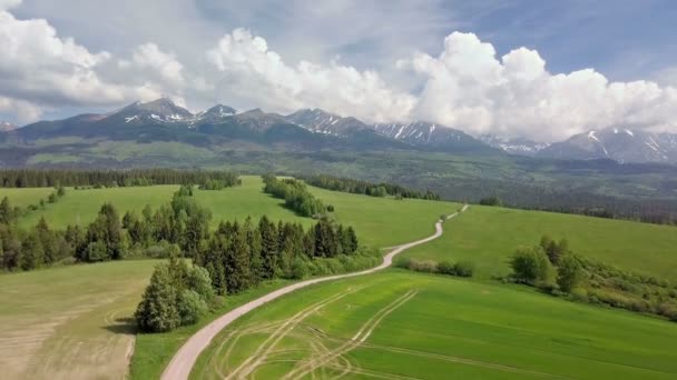 Fliegen Sie Vorfrühling Über Eine Wunderschöne Frische Grüne Landschaft Den — Stockvideo